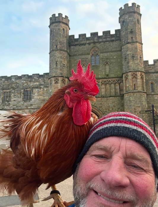 Glyn and His Shopping Rooster - Backyard Poultry